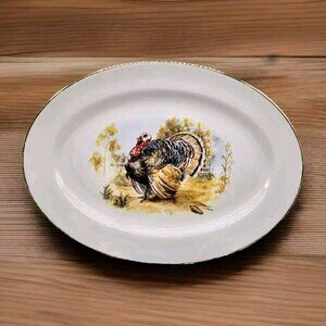 Vintage Embassy USA Thanksgiving Tom Turkey Oval Platter Fall Holidays Pilgrim